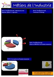 fiche formation industrielle 2019