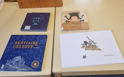 Animation sur les ombres à la bibliothèque