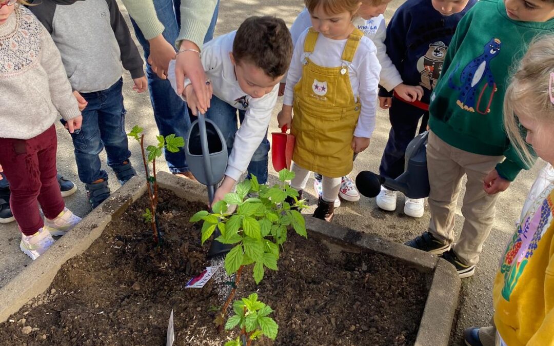 LES PETITS JARDINIERS DE LA MATERNELLE EN ACTION