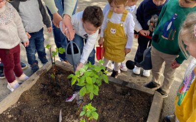 LES PETITS JARDINIERS DE LA MATERNELLE EN ACTION